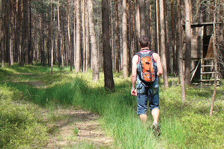 Im Wald vor Lindenhardt &ndash; (VGN &copy;&nbsp;VGN GmbH)