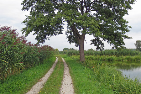 Radweg &ndash; (28.08.2013, up3 &copy;&nbsp;up3)