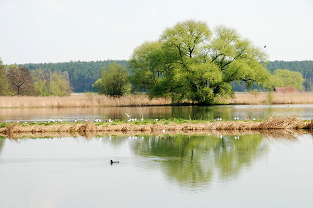 Mohrhof &ndash; (13.04.2009, VGN)