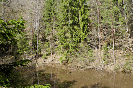 Wernloch &ndash; (13.04.2013, VGN &copy;&nbsp;VGN GmbH)