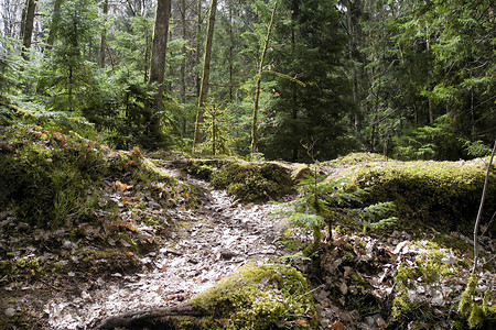 Auf Waldpfaden durchs Wernloch &ndash; (13.04.2013, VGN &copy;&nbsp;VGN GmbH)