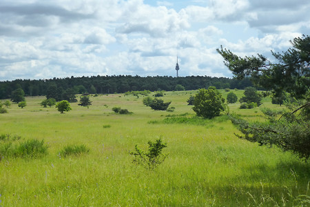 Hainberg &ndash; (21.06.2013, VGN &copy;&nbsp;VGN GmbH)