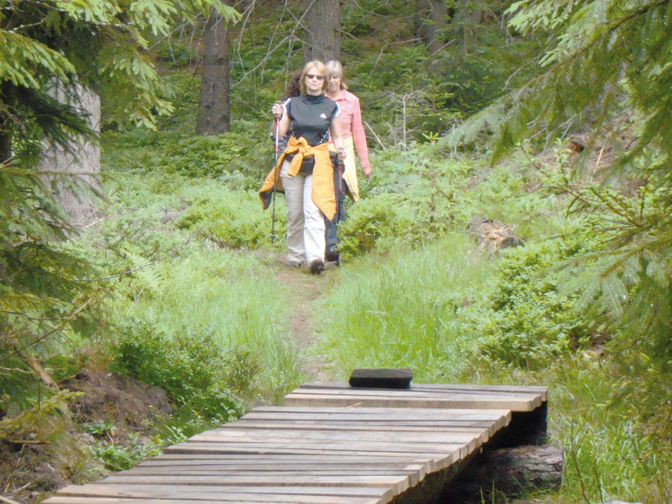 Hölzerner Steg &ndash;  (14.06.2011, VGN &copy;&nbsp;VGN GmbH)