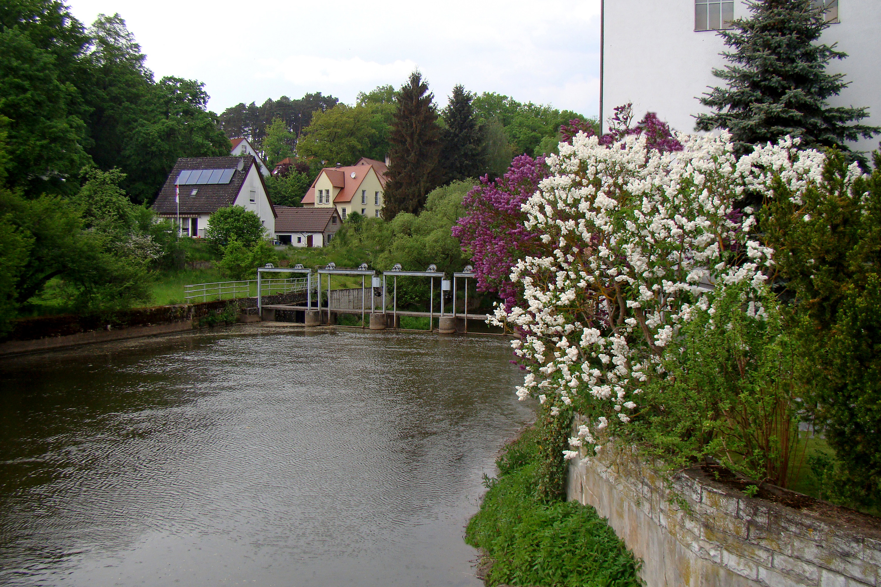 Entlang Der Schwarzach In Die Goldschlagerstadt Vgn