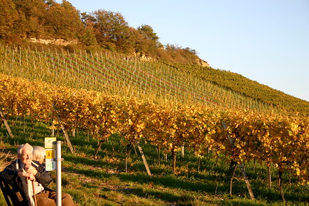 Herbstliche Weinberge &ndash; (DLKMgraphikdesign Schwarzach &copy;&nbsp;Tourist Information Iphofen)