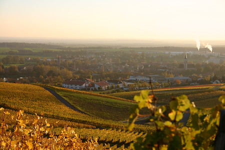 Blick auf Iphofen &ndash; (DLKMgraphikdesign Schwarzach &copy;&nbsp;Tourist Information Iphofen)