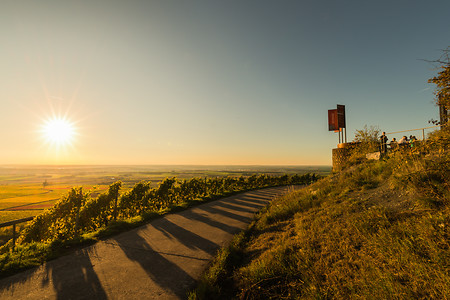 Iphofen Weinberge &ndash; (02.11.2018, Michael Koch &copy;&nbsp;Tourist Information Iphofen)