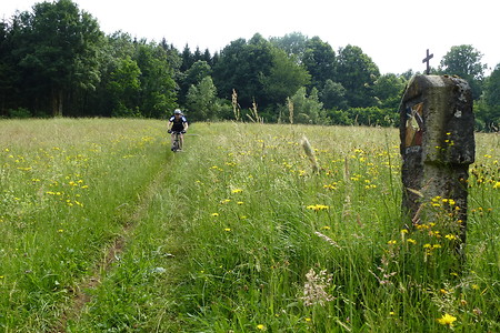 Durch grüne Wiesen &ndash; (11.06.2015, VGN &copy;&nbsp;VGN GmbH)