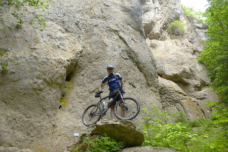 Über Stock und Stein &ndash; (11.06.2015, VGN &copy;&nbsp;VGN GmbH)