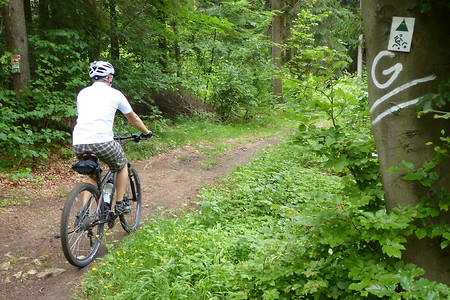 Immer der Markierung nach &ndash; (11.06.2015, VGN &copy;&nbsp;VGN GmbH)