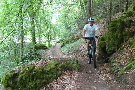 Schlangenlinie &ndash; (11.06.2015, VGN &copy;&nbsp;VGN GmbH)