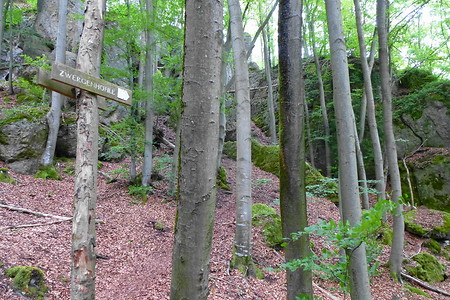 Abstecher zur Zwergenhöhle &ndash; (11.06.2015, VGN &copy;&nbsp;VGN GmbH)