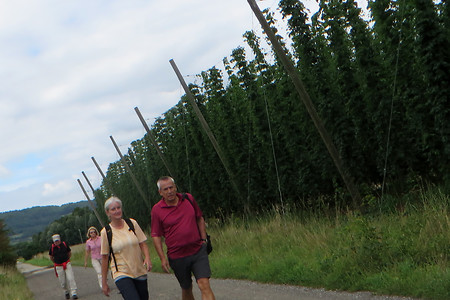 Hopfenfeld &ndash; (19.02.2018, VGN &copy;&nbsp;VGN GmbH)