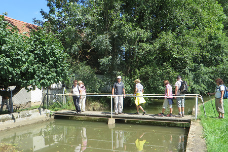 Mühlensteg &ndash; (19.02.2018, VGN &copy;&nbsp;VGN GmbH)