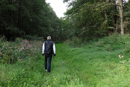 Wiesenweg &ndash; (09.02.2018, VGN &copy;&nbsp;VGN GmbH)