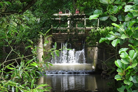 Bächlein vor der Steinbacher Mühle &ndash; (20.06.2018, VGN S.Dassler &copy;&nbsp;VGN GmbH)