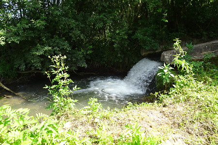 Bächlein hinter der Lindenmühle &ndash; (20.06.2018, VGN S.Dassler &copy;&nbsp;VGN GmbH)