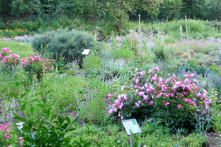 Aromangarten Erlangen &ndash; (19.02.2018, VGN &copy;&nbsp;VGN GmbH)