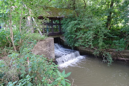 Bächlein hinter der Sendelmühle &ndash; (20.06.2018, VGN S.Dassler &copy;&nbsp;VGN GmbH)