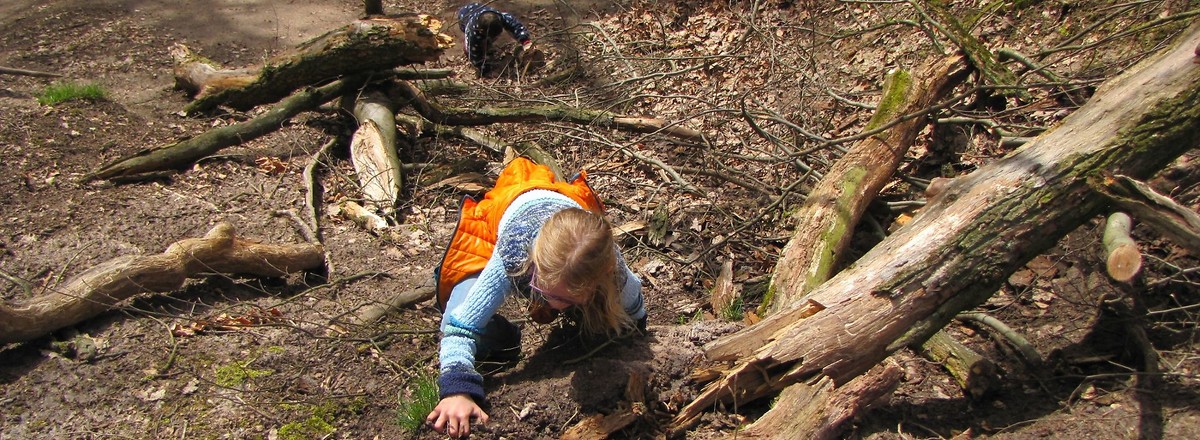 Hier kann man wunderbar kraxeln! &ndash;  (&copy;&nbsp;VGN GmbH)