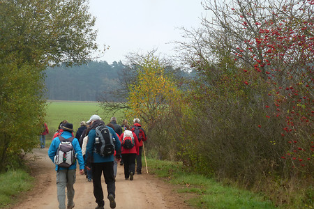 Unterwegs &ndash; (01.11.2013, VGN &copy;&nbsp;VGN GmbH)