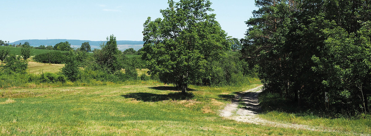 Landschaft &ndash;  (14.02.2020, G. Härer &copy;&nbsp;VGN GmbH)