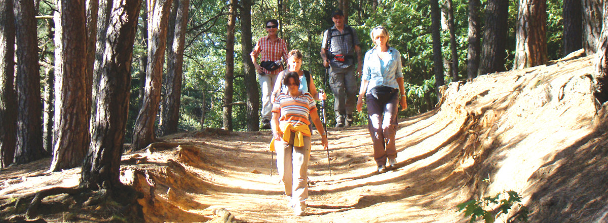 Der Wanderweg &ndash;  (VGN &copy;&nbsp;VGN GmbH)