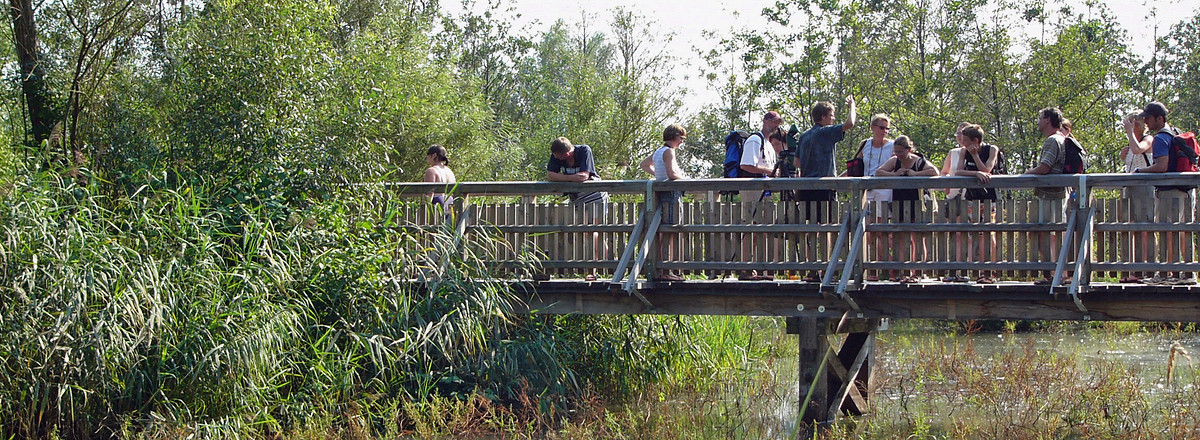 Vogelinsel Steg &ndash;  (VGN &copy;&nbsp;VGN GmbH)