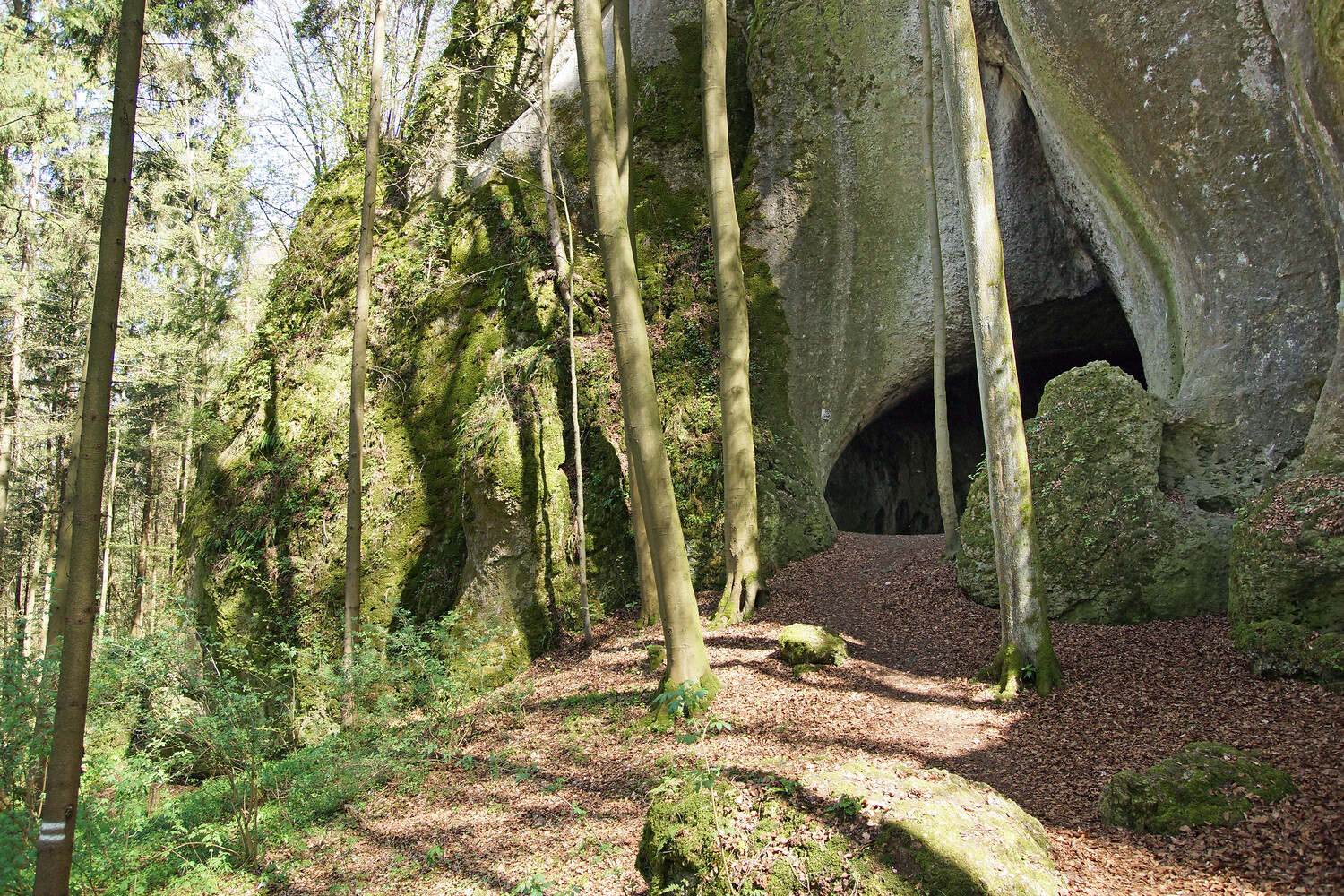 Vogelherdgrotte &ndash;  (VGN &copy;&nbsp;VGN GmbH)