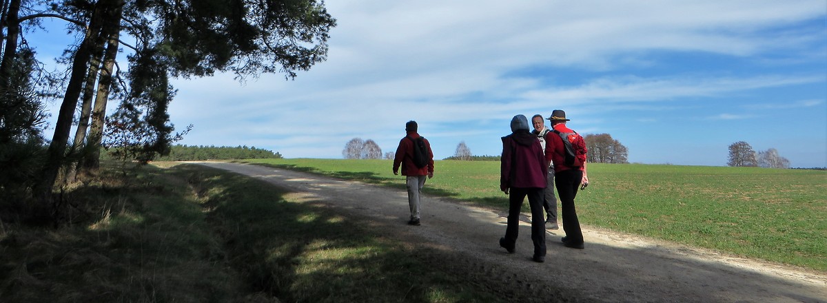 Hinauf nach Hohenweiler &ndash;  (09.02.2018, VGN &copy;&nbsp;VGN GmbH)