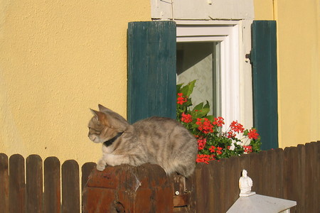 Ländliche Idylle in Oberntief &ndash; (VGN &copy;&nbsp;VGN GmbH)