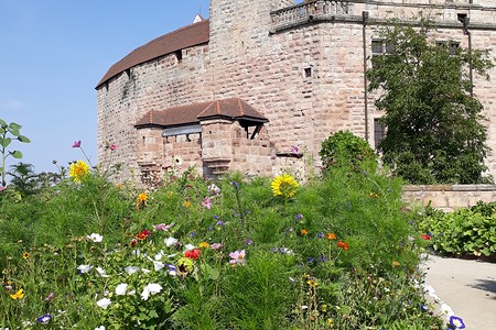 Cadolzburg mit Sommerblumen &ndash; (20.08.2018, VGN &copy;&nbsp;VGN GmbH)