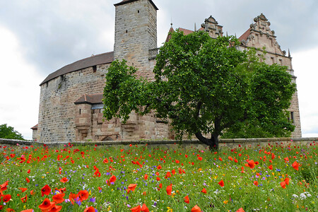 Cadolzburg mit Mohnblumen &ndash; (29.06.2014, VGN &copy;&nbsp;VGN GmbH)