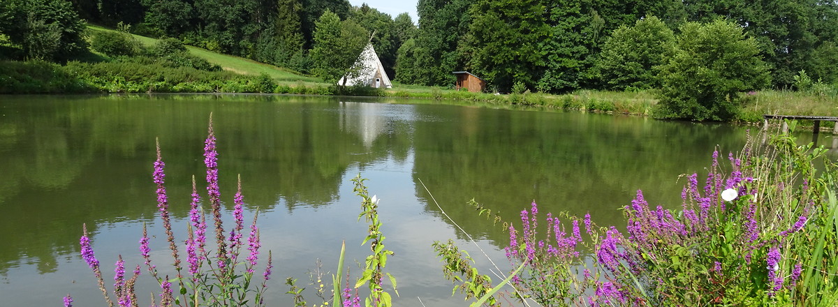 Weiheridylle bei Emskirchen &ndash;  (20.07.2018, VGN S.Daßler &copy;&nbsp;VGN GmbH)