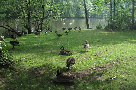 Stadtpark Fürth &ndash; (20.08.2016, schreibwerk &copy;&nbsp;schreibwerk)