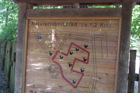 Naturerlebnispfad &ndash; (20.08.2016, schreibwerk &copy;&nbsp;schreibwerk)