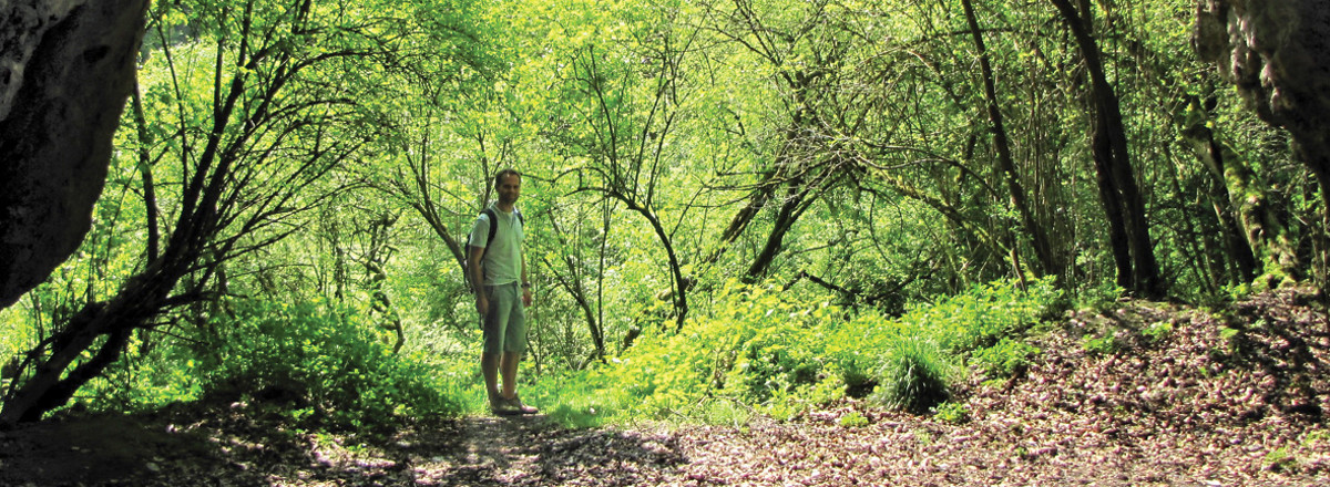 An der Rohenlochhöhle &ndash;  (VGN &copy;&nbsp;VGN GmbH)