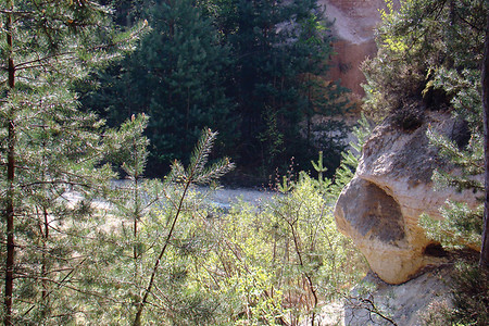 Hochragende und magere Kiefern &ndash; (VGN &copy;&nbsp;VGN GmbH)