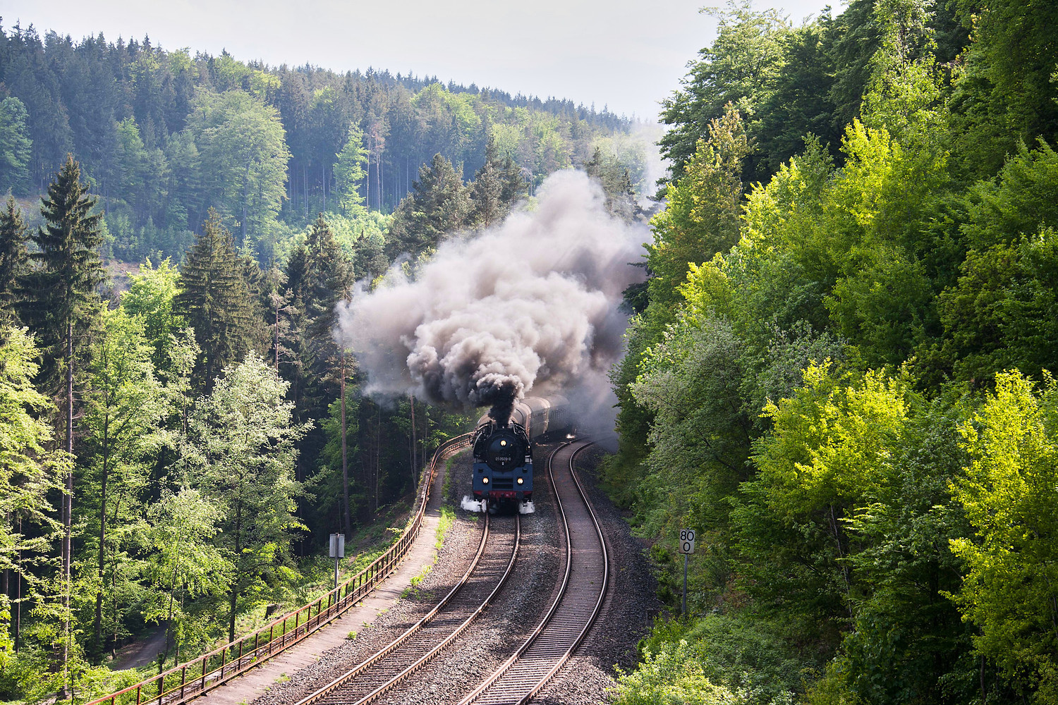 Dampflokerlebnis mit dem VGN &ndash;  (&copy;&nbsp;Deutsches Dampflokmuseum)