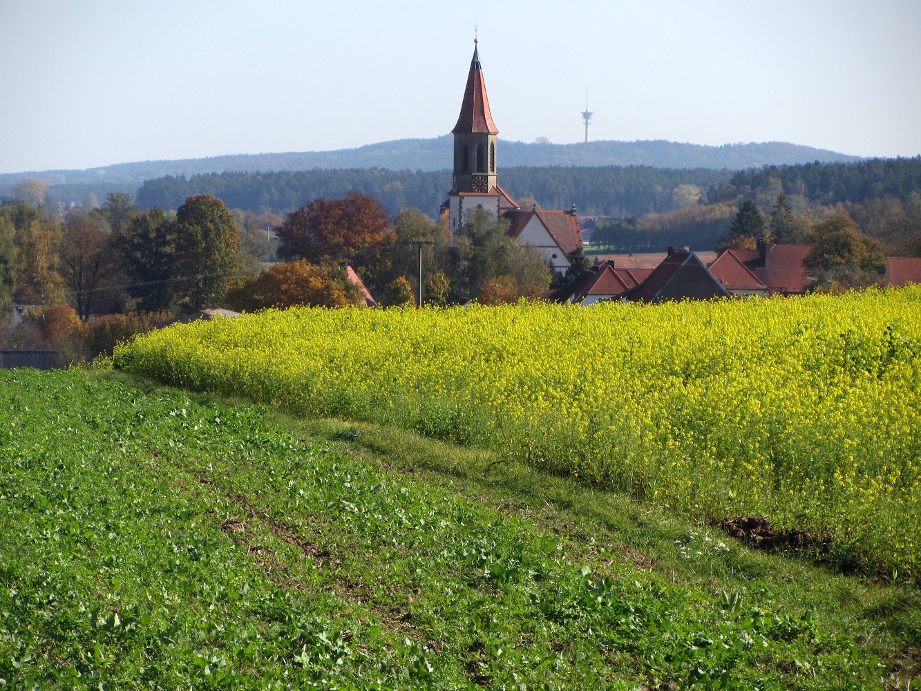 Blick auf Wieseth &ndash;  (19.02.2019, R. Rück &copy;&nbsp;schreibwerk)