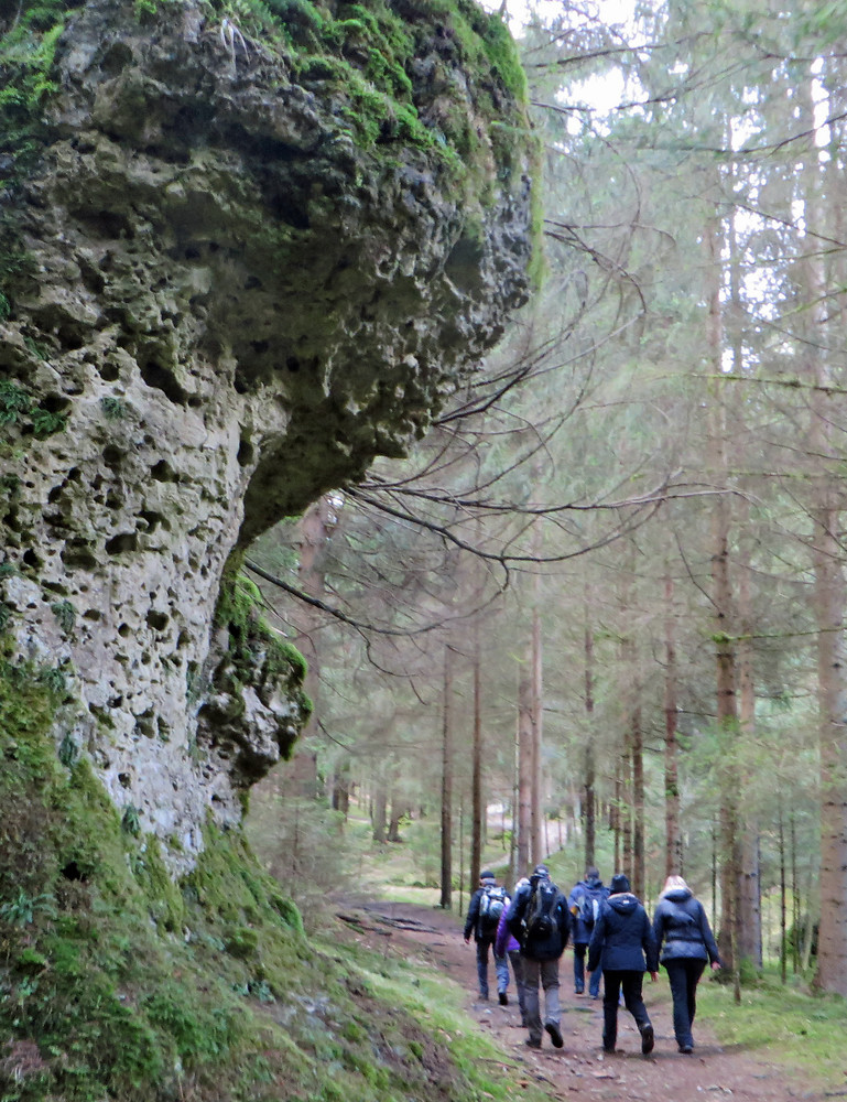 Hinauf nach Elbersberg &ndash;  (VGN &copy;&nbsp;VGN GmbH)