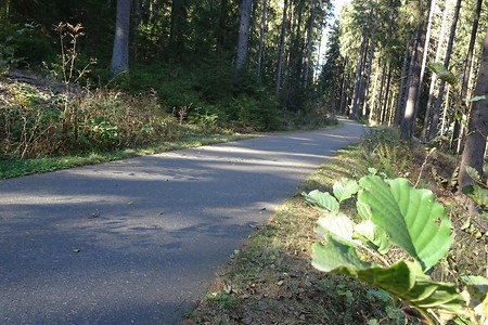 Radweg Fichtelnaab &ndash; (09.07.2019, S. Dassler &copy;&nbsp;VGN GmbH)