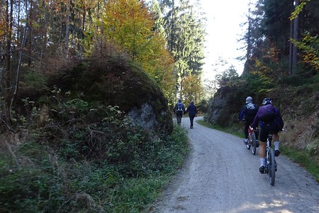 Radweg Richtung Karches &ndash; (09.07.2019, S. Dassler &copy;&nbsp;VGN GmbH)