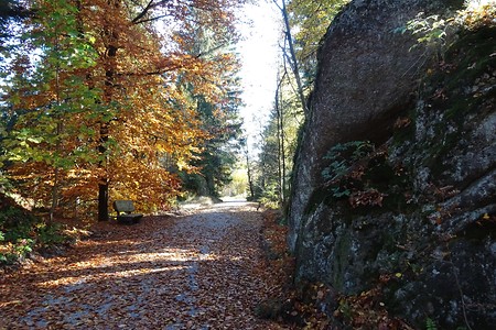 Radweg im Herbst &ndash; (09.07.2019, S. Dassler &copy;&nbsp;VGN GmbH)