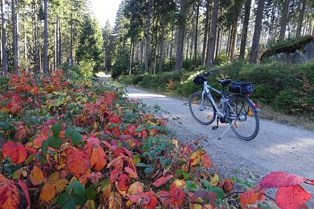 Herbststimmung &ndash; (09.07.2019, S. Dassler &copy;&nbsp;VGN GmbH)