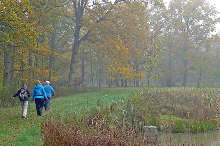Herbststimmung am Leppachbiotop &ndash; (20.10.2012, VGN &copy;&nbsp;VGN GmbH)