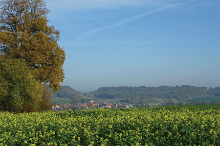 Ziegenbach &ndash; (20.10.2012, VGN &copy;&nbsp;VGN GmbH)