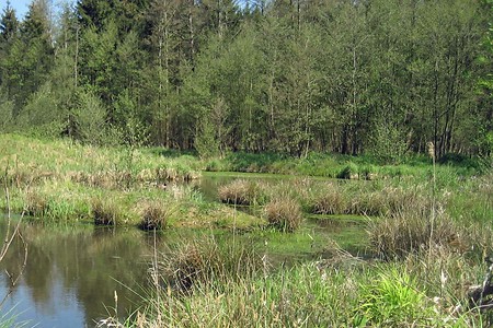 Lachwiesengraben &ndash; (18.08.2016, VGN &copy;&nbsp;VGN GmbH)