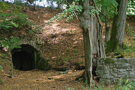 Bei Münchsteinach &ndash; (VGN &copy;&nbsp;VGN GmbH)