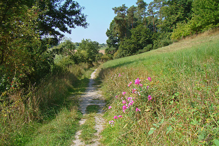 Unterwegs &ndash; (VGN &copy;&nbsp;VGN GmbH)